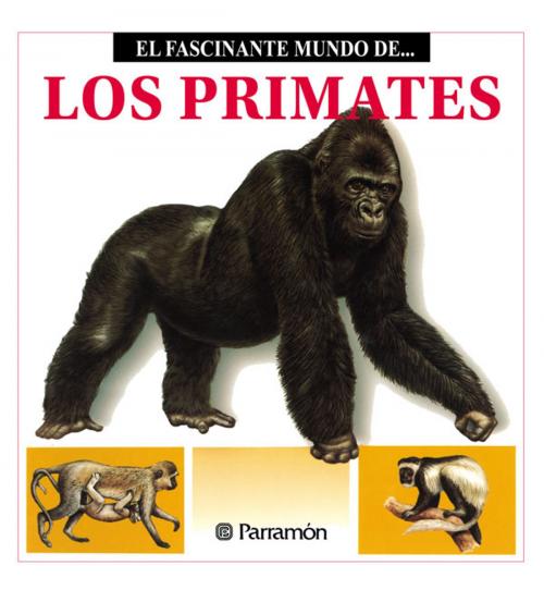 Cover of the book Los Primates by Maira Àngels Julivert, Parramón Paidotribo