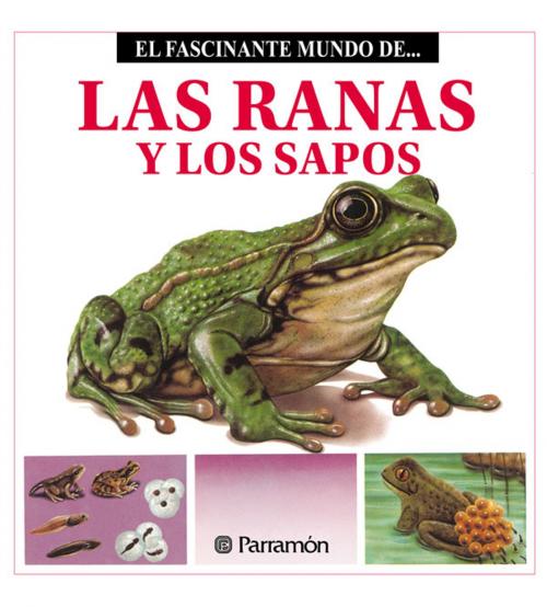 Cover of the book Las Ranas y los Sapos by Maira Àngels Julivert, Parramón Paidotribo