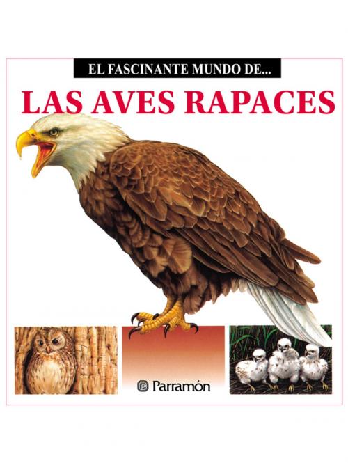 Cover of the book Las Aves Rapaces by Maira Àngels Julivert, Parramón Paidotribo