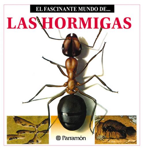 Cover of the book Las Hormigas by Maira Àngels Julivert, Parramón Paidotribo