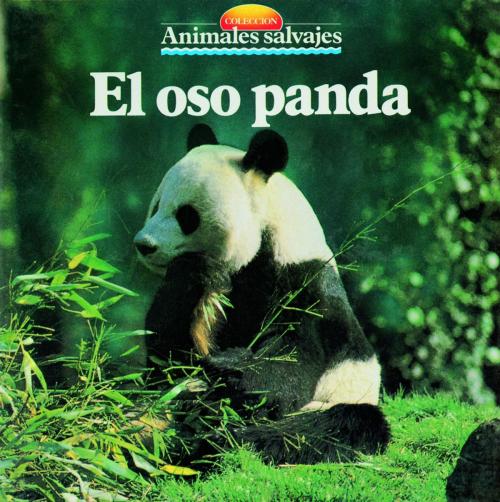 Cover of the book El oso panda by , Parramón Paidotribo