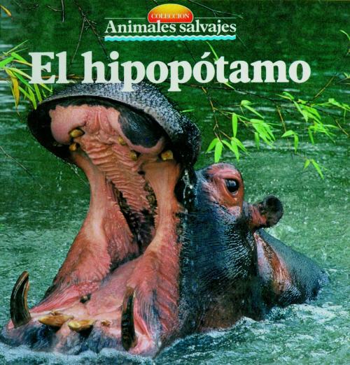 Cover of the book El hipopótamo by , Parramón Paidotribo