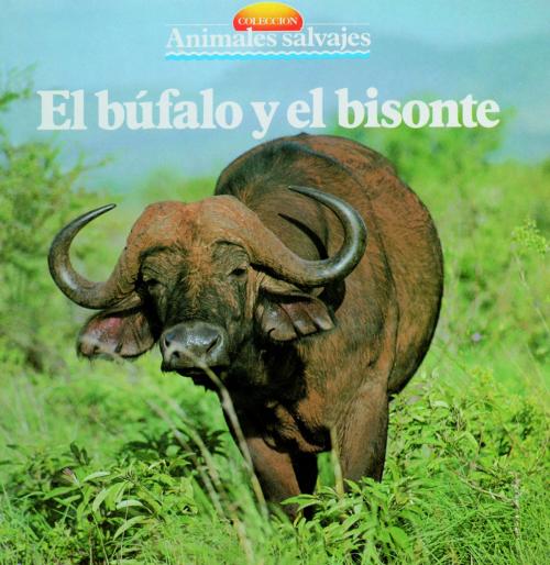 Cover of the book El búfalo y el bisonte by , Parramón Paidotribo
