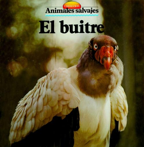 Cover of the book El buitre by , Parramón Paidotribo