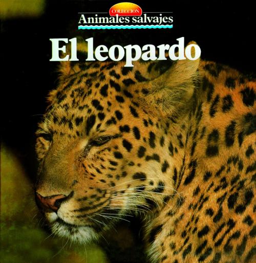 Cover of the book El leopardo by , Parramón Paidotribo