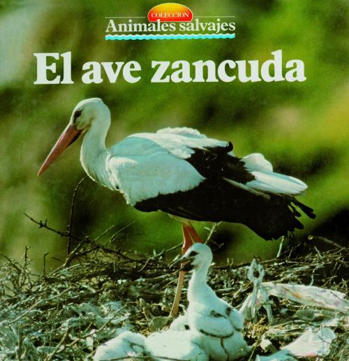 Cover of the book El ave zancuda by , Parramón Paidotribo