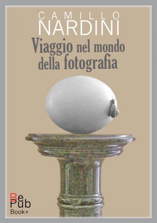 Cover of the book Viaggio nel mondo della fotografia by Camillo Nardini, BePub Pubblicazioni Digitali