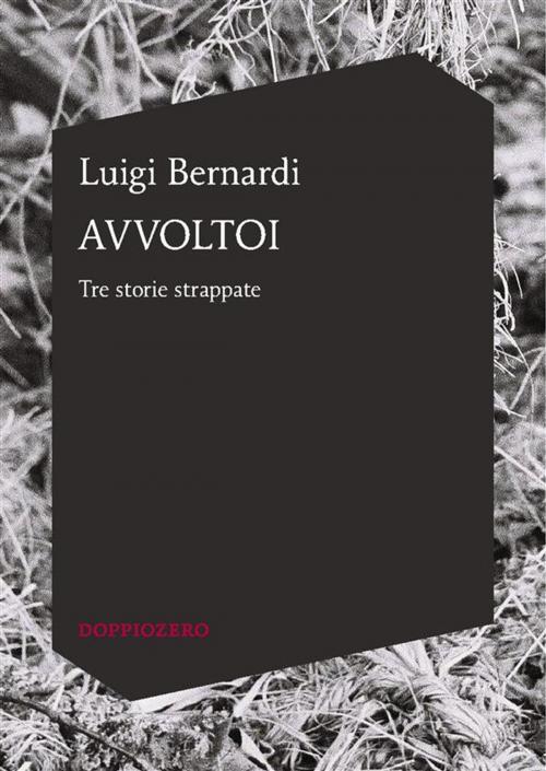 Cover of the book Avvoltoi by Luigi Bernardi, Doppiozero