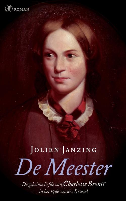 Cover of the book De meester by Jolien Janzing, Singel Uitgeverijen
