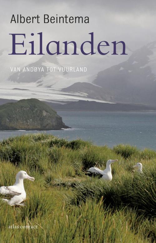 Cover of the book Eilanden by Albert Beintema, Atlas Contact, Uitgeverij