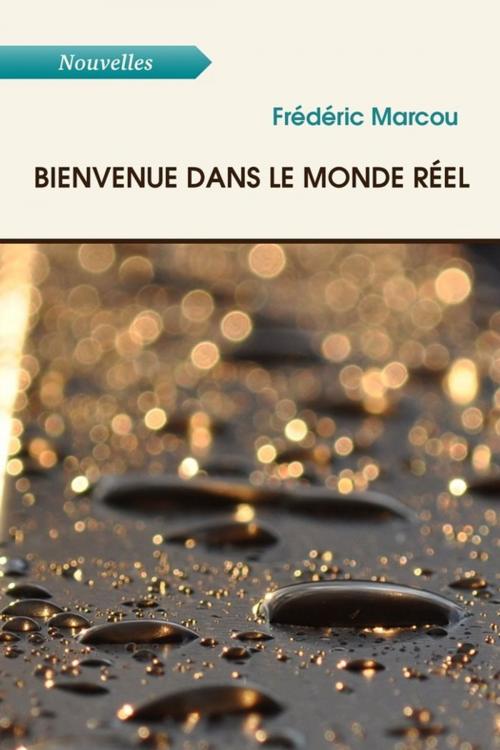 Cover of the book Bienvenue dans le monde réel by frédéric marcou, Atramenta