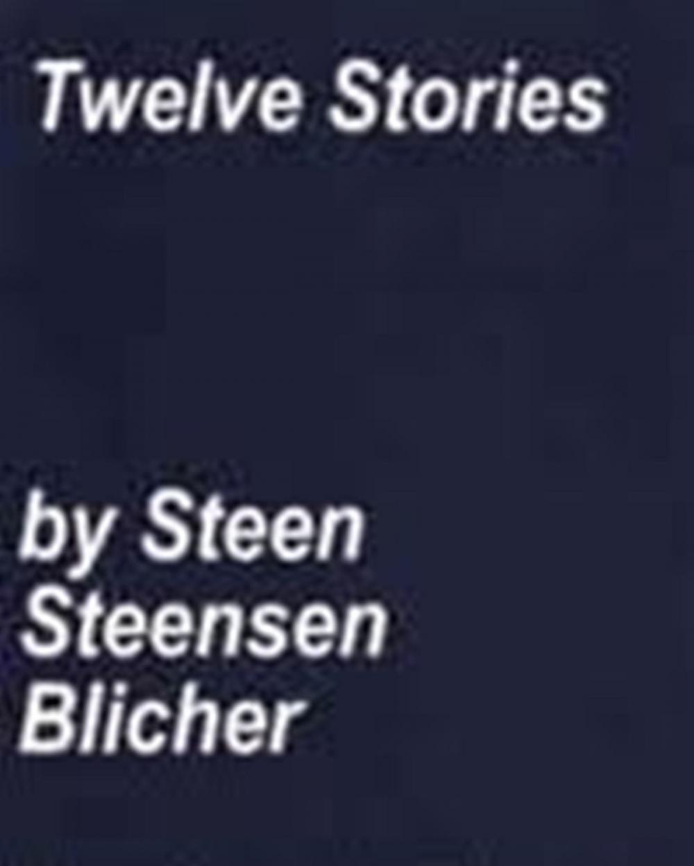Big bigCover of Twelve Stories