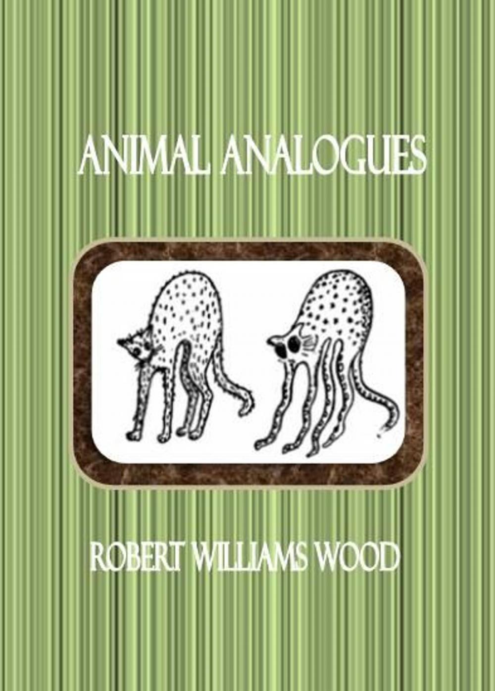 Big bigCover of Animal Analogues