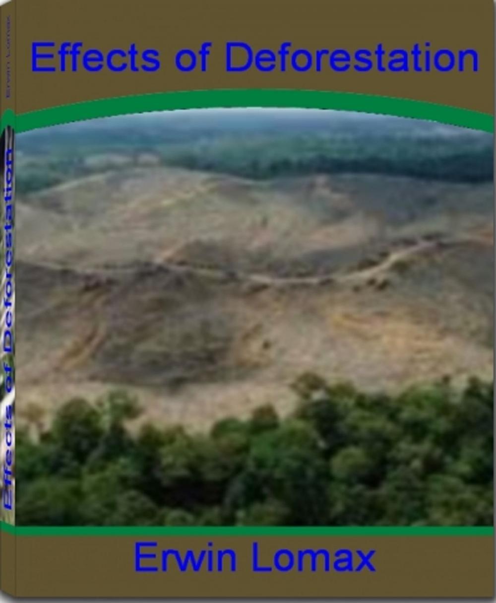 Big bigCover of Effects of Deforestation