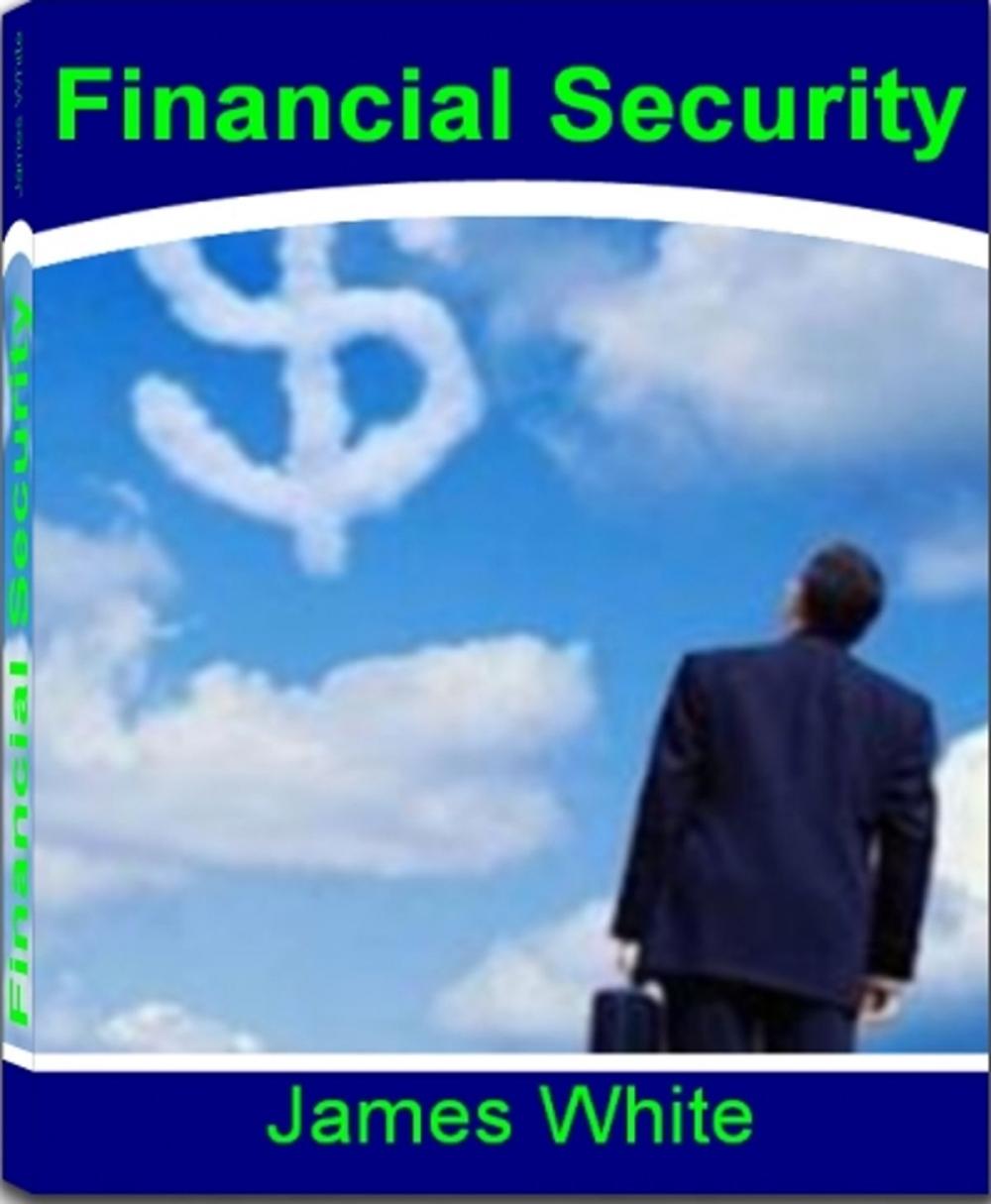 Big bigCover of Financial Security