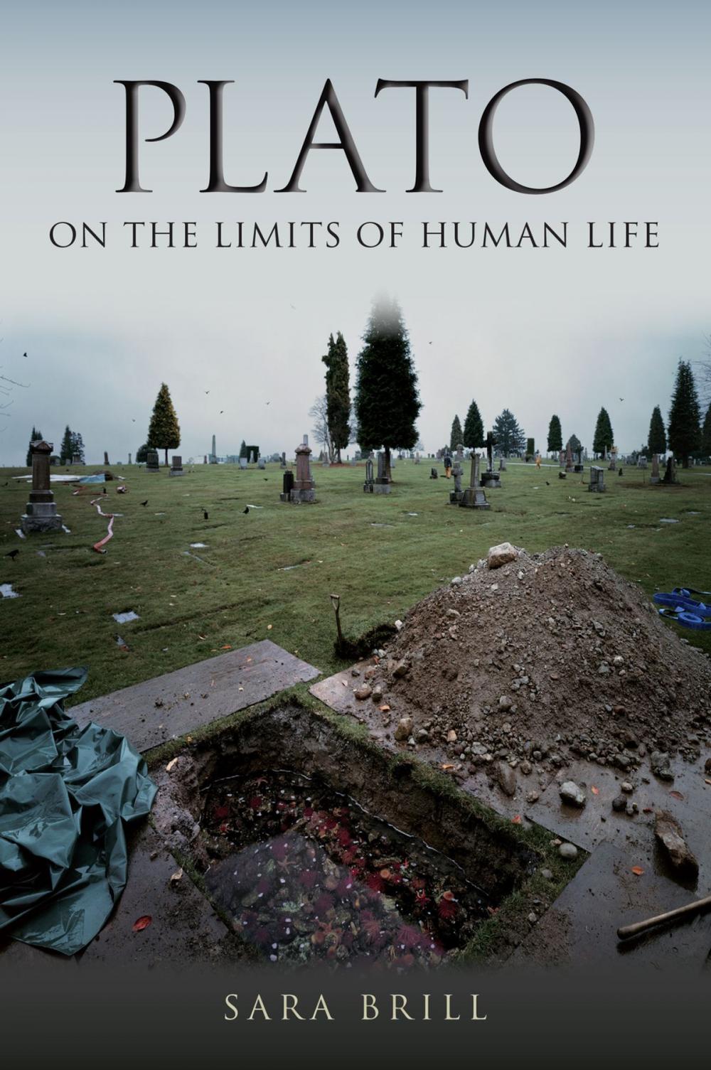 Big bigCover of Plato on the Limits of Human Life