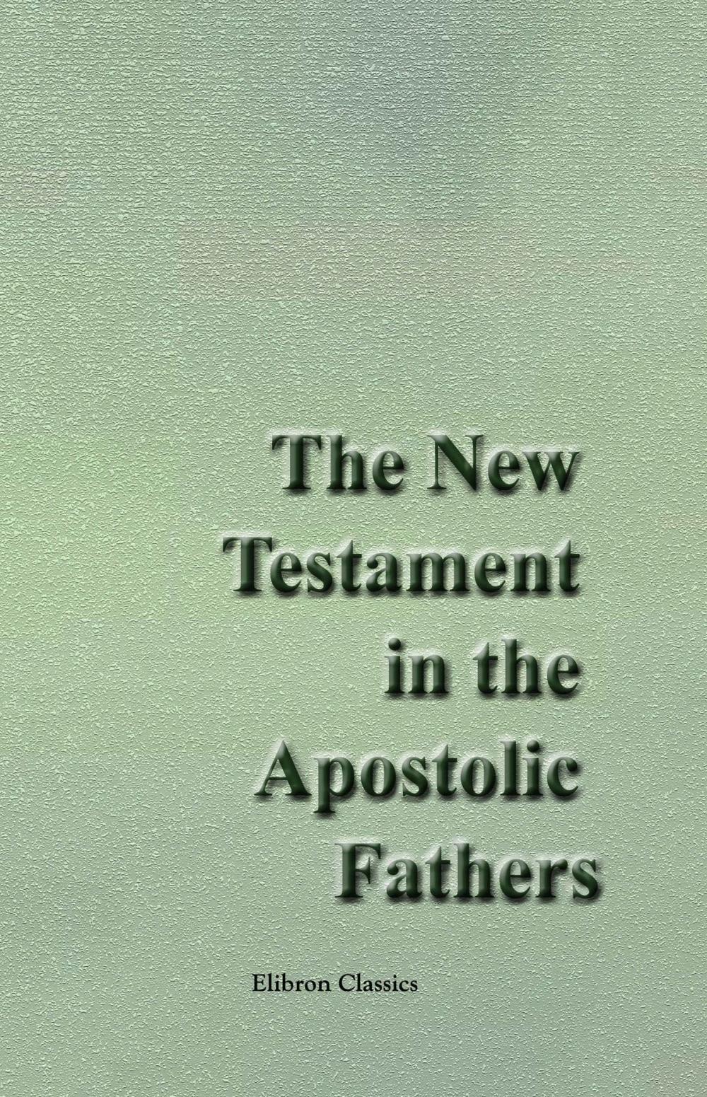 Big bigCover of The New Testament in the Apostolic Fathers.