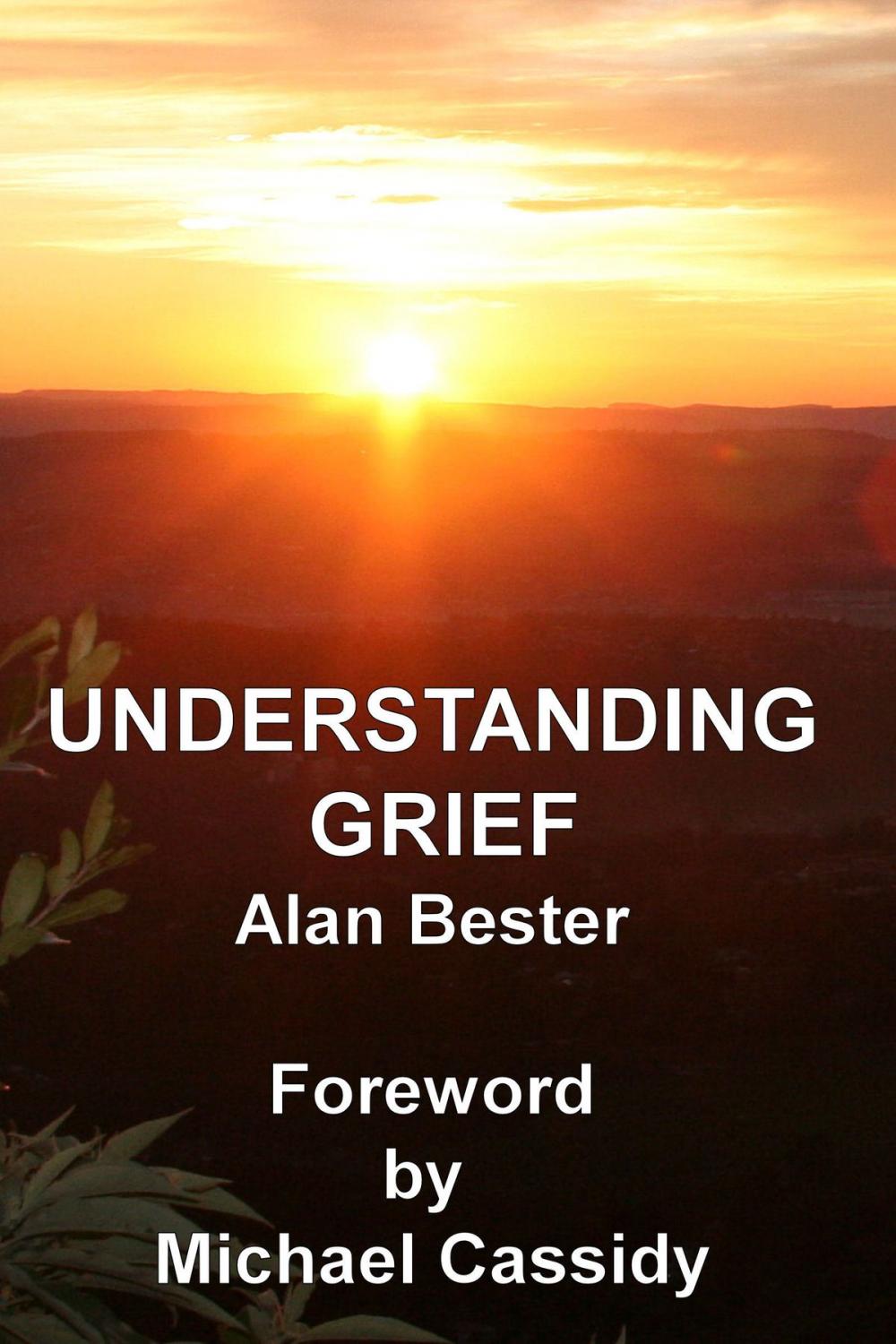 Big bigCover of Understanding Grief