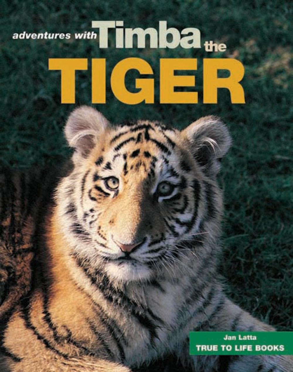 Big bigCover of Timba the Tiger