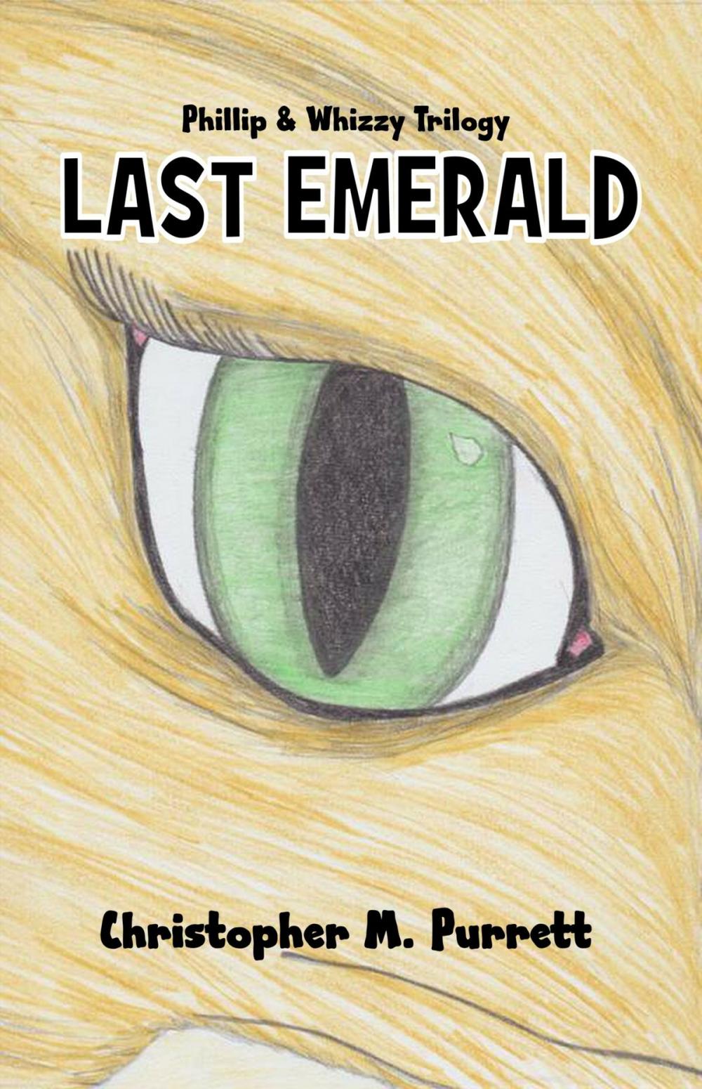 Big bigCover of Last Emerald