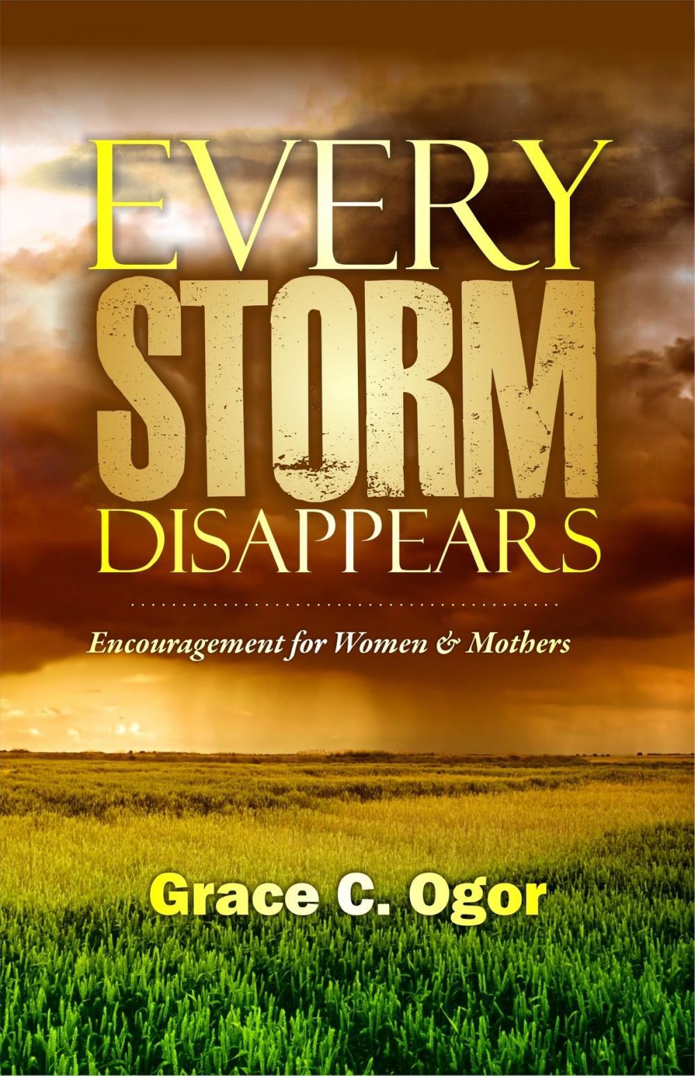 Big bigCover of Every Storm Disappears