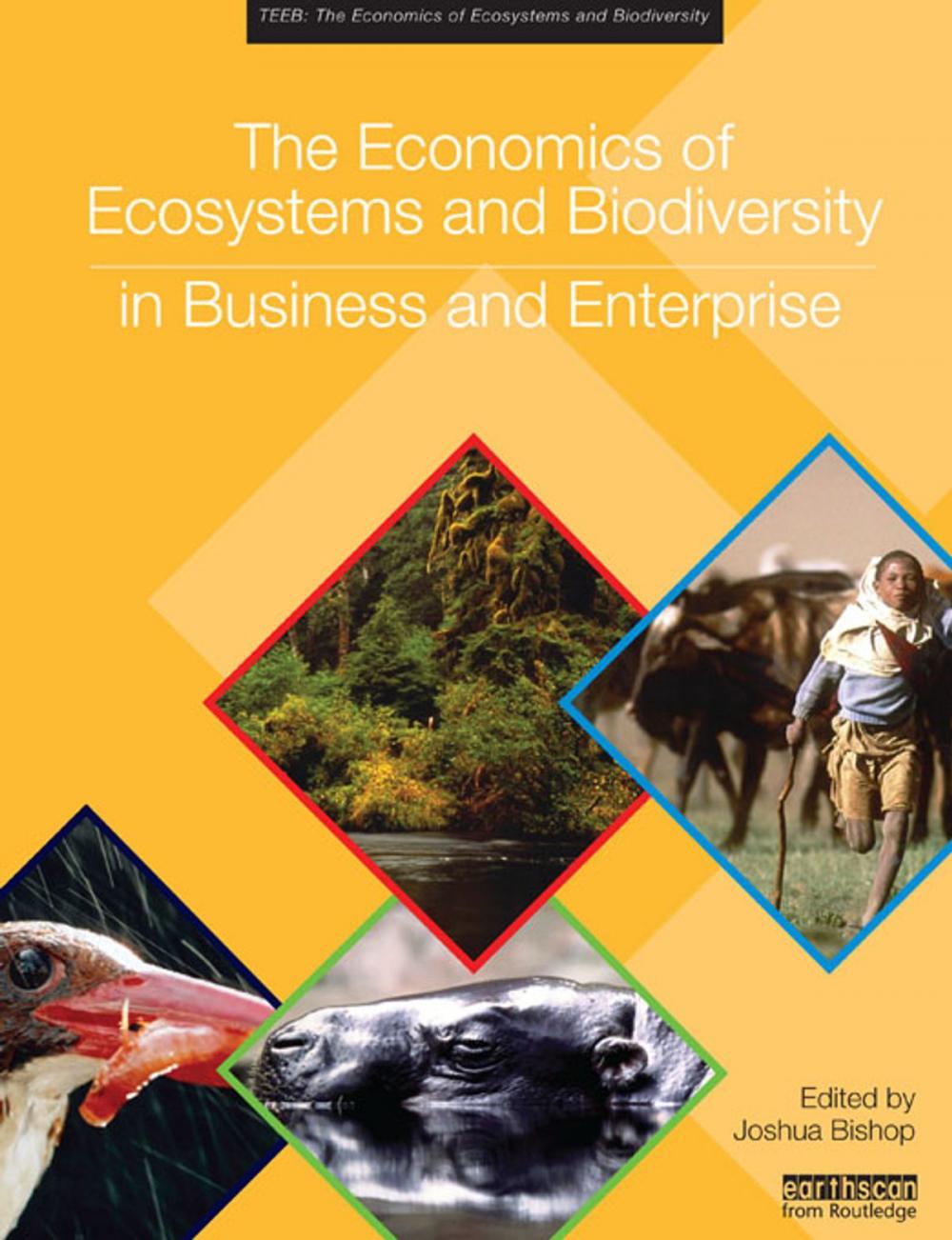 Big bigCover of The Economics of Ecosystems and Biodiversity in Business and Enterprise