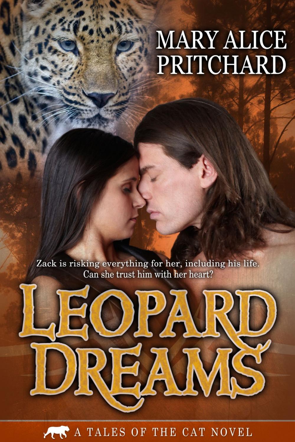 Big bigCover of Leopard Dreams