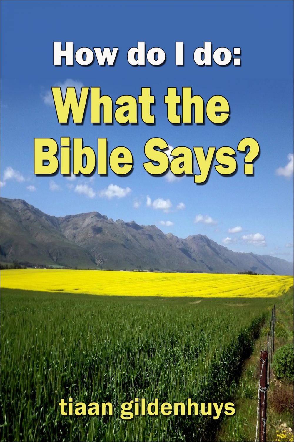 Big bigCover of How do I do: What the Bible says?