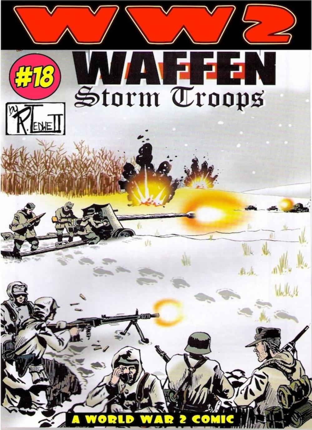Big bigCover of World War 2 Waffen Storm Troops