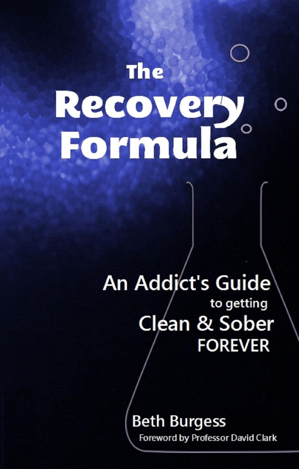 Big bigCover of The Recovery Formula: An Addict's Guide to getting Clean and Sober Forever