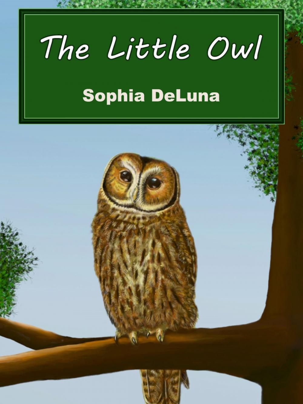 Big bigCover of The Little Owl