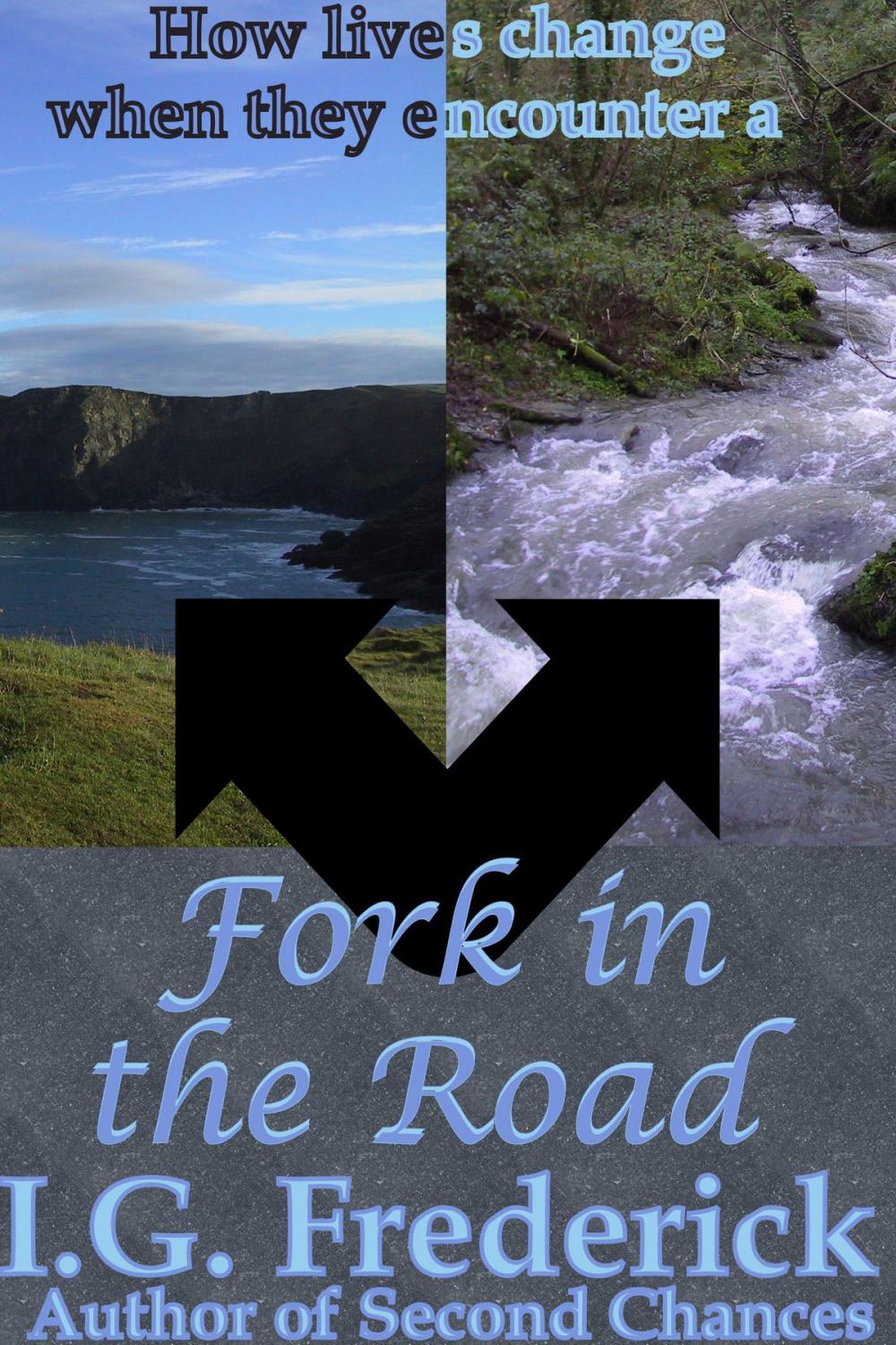 Big bigCover of Fork in the Road