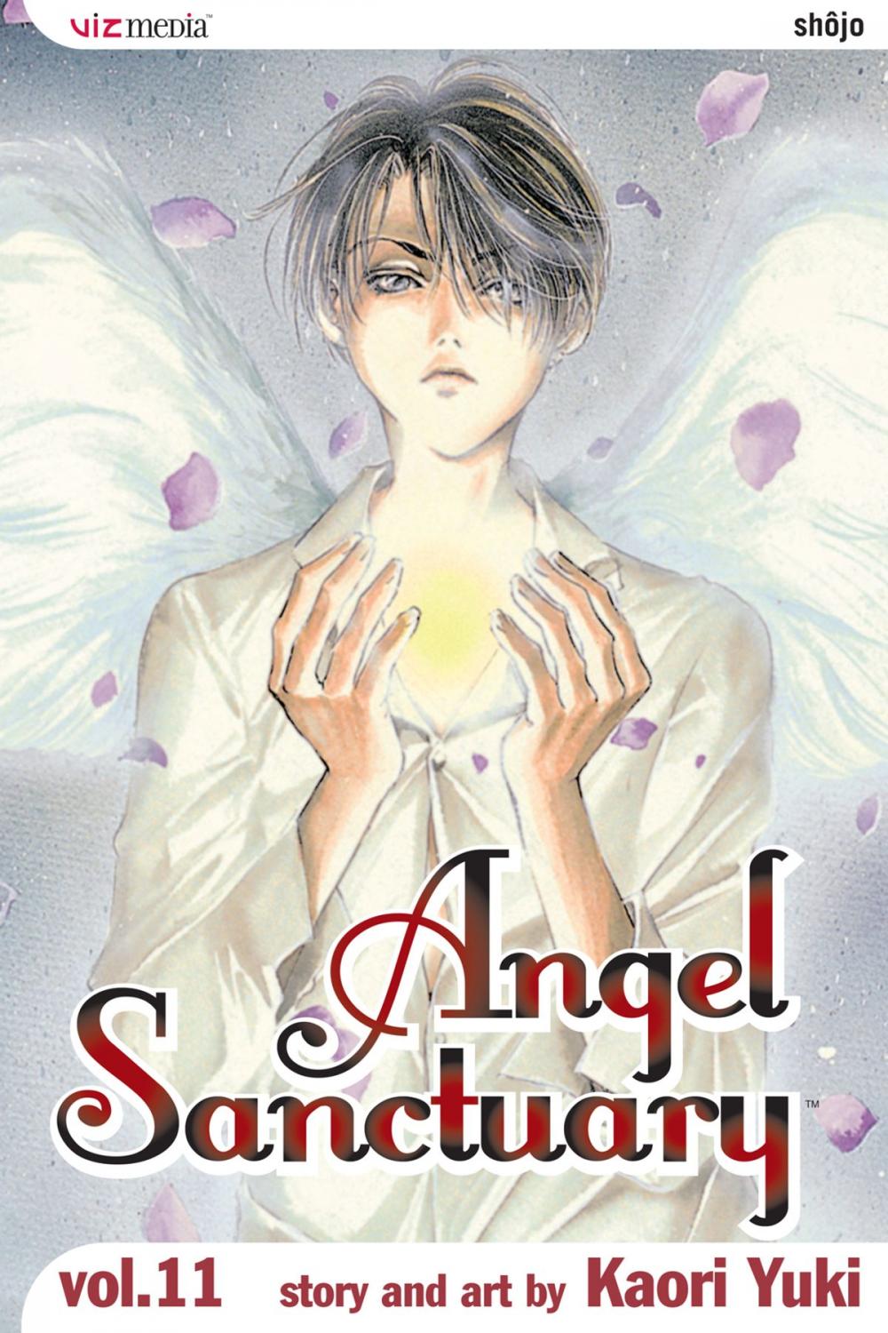 Big bigCover of Angel Sanctuary, Vol. 11
