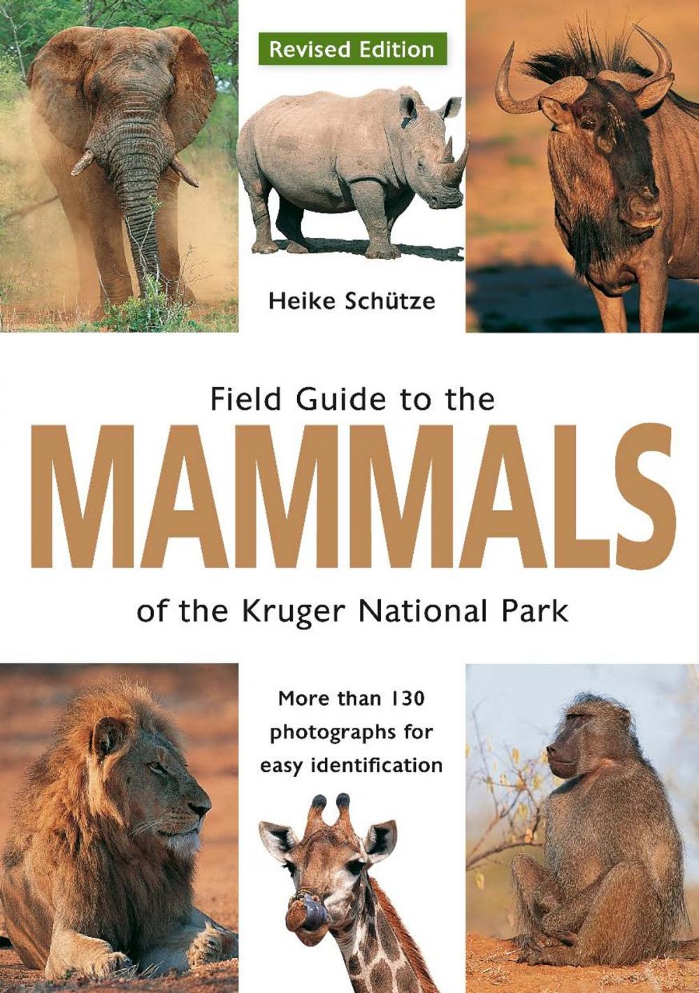 Big bigCover of Field Guide to Mammals of the Kruger National Park
