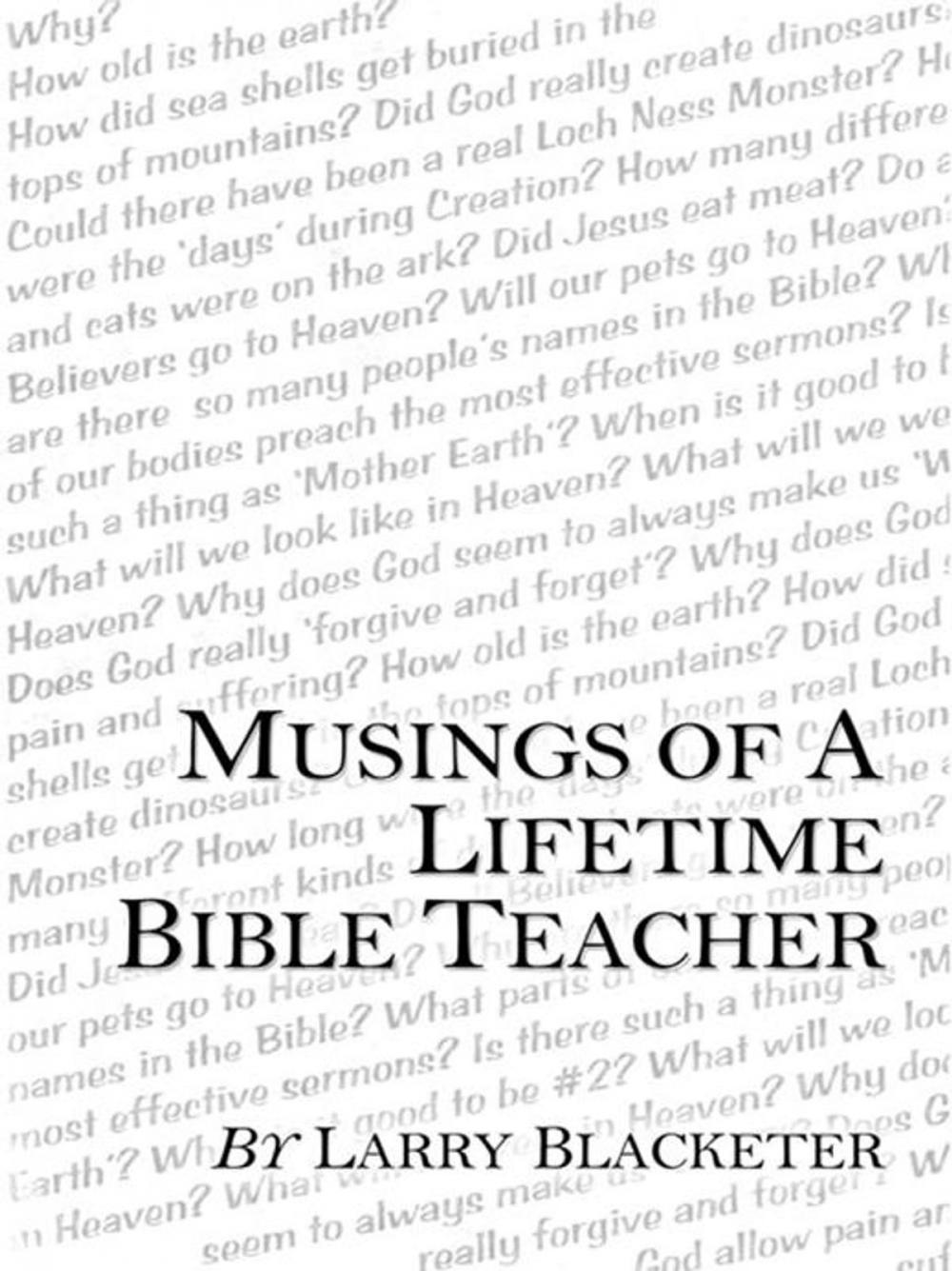 Big bigCover of Musings of a Lifetime Bible Teacher