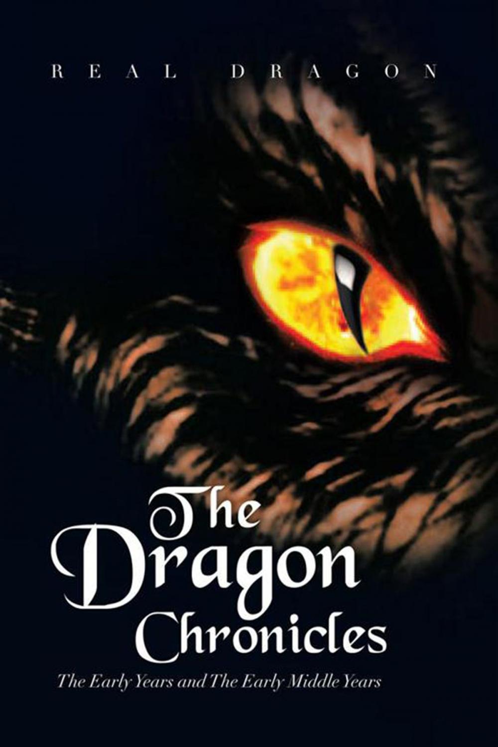 Big bigCover of The Dragon Chronicles