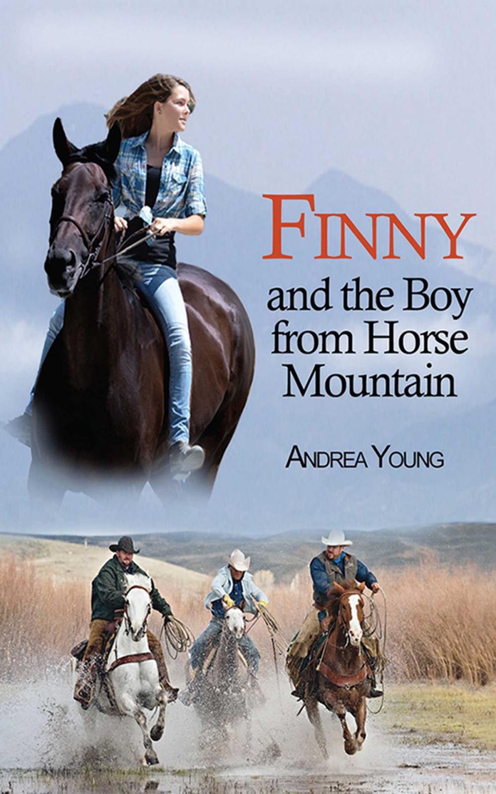 Big bigCover of Finny and the Boy from Horse Mountain