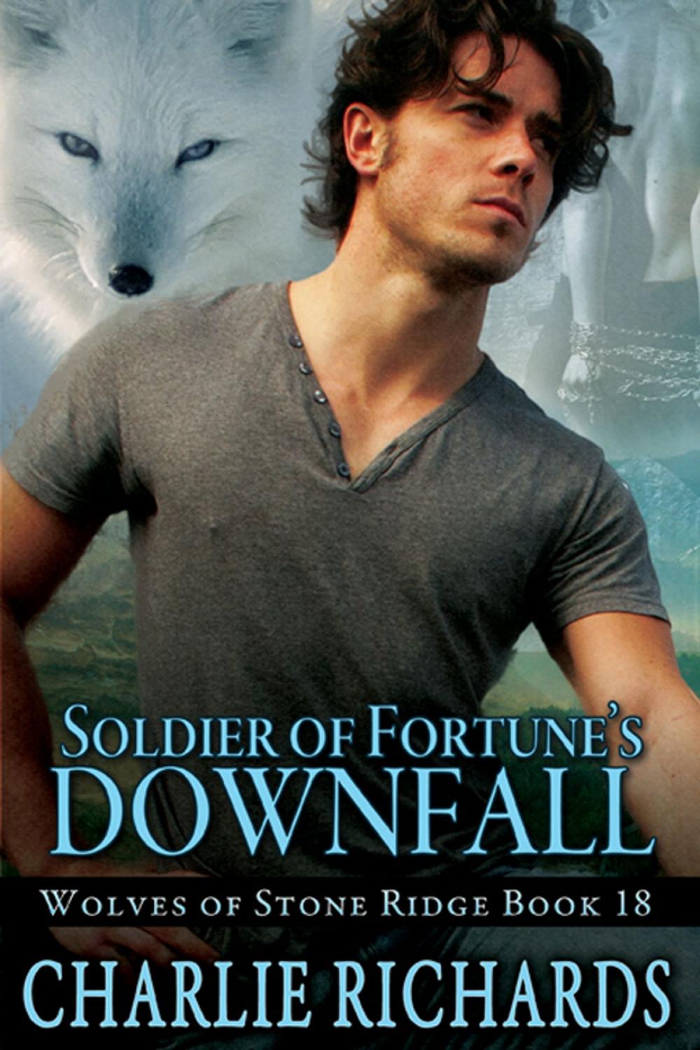 Big bigCover of Soldier of Fortune's Downfall