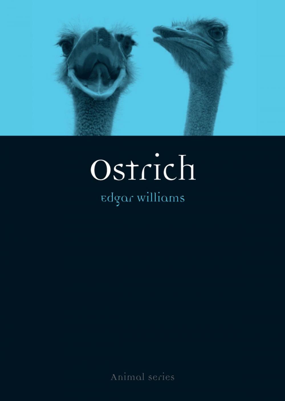 Big bigCover of Ostrich