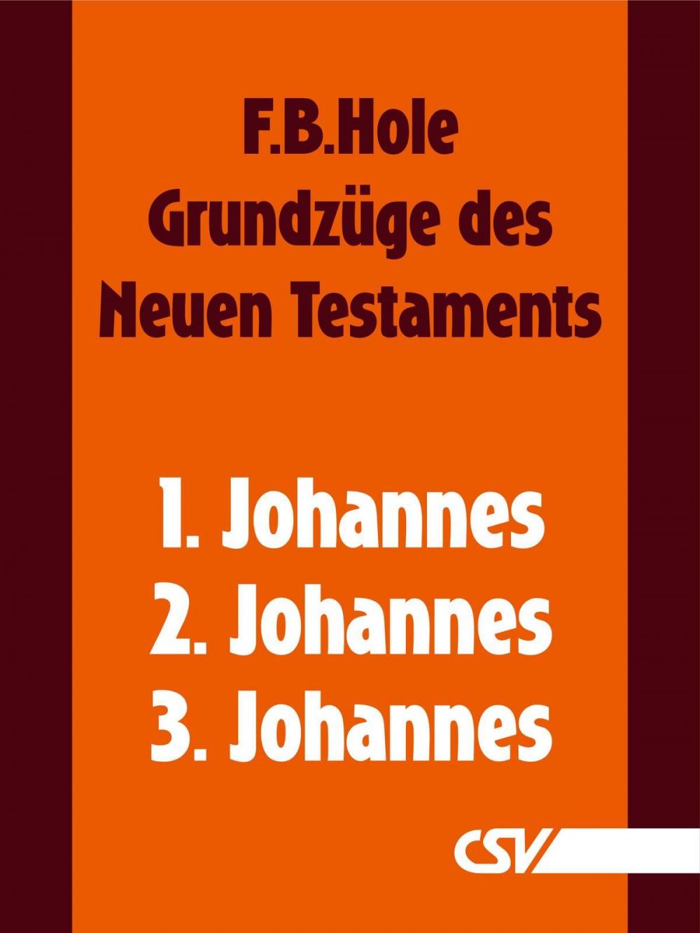 Big bigCover of Grundzüge des Neuen Testaments - 1., 2. & 3. Johannes