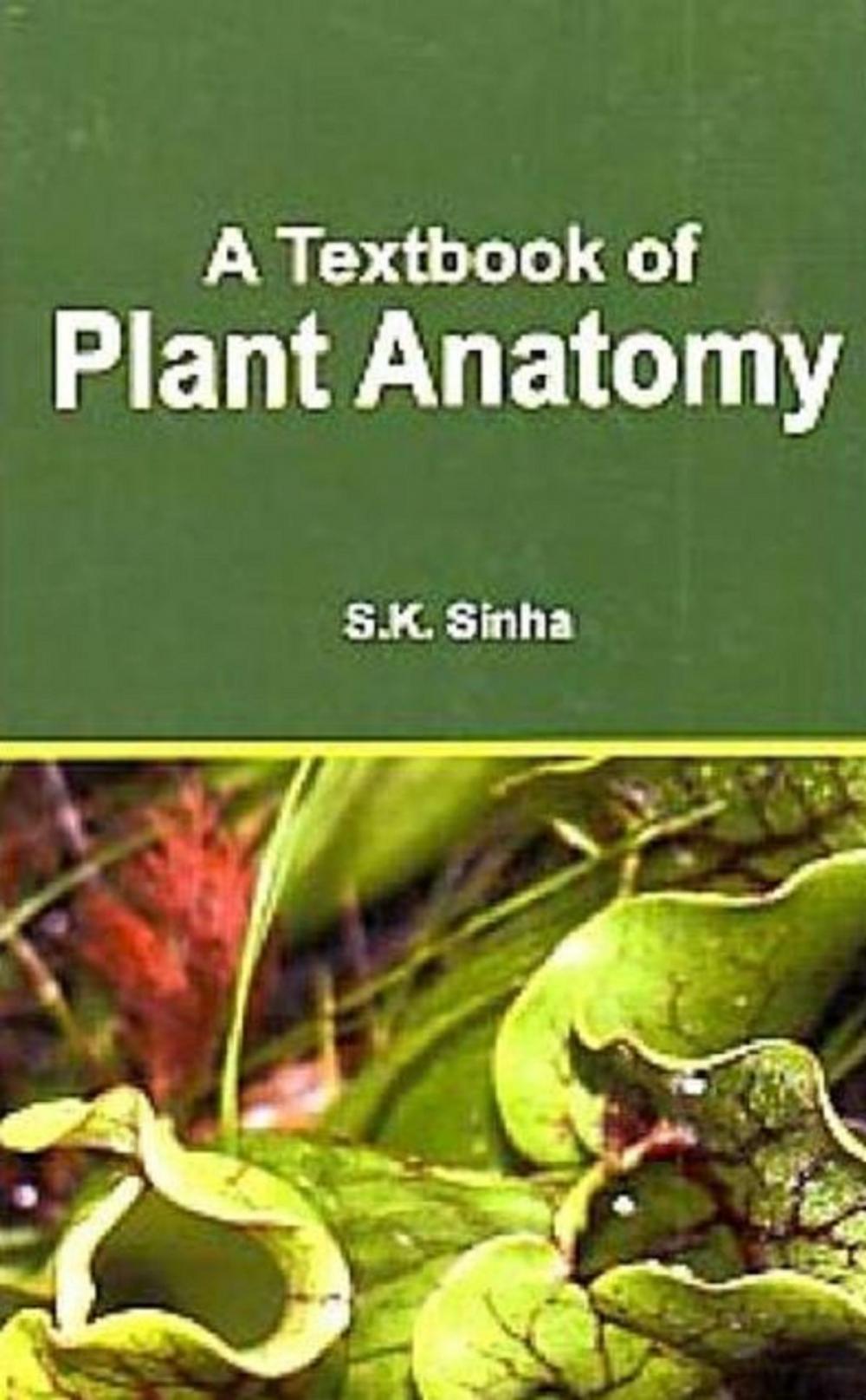 Big bigCover of A Textbook of Plant Anatomy