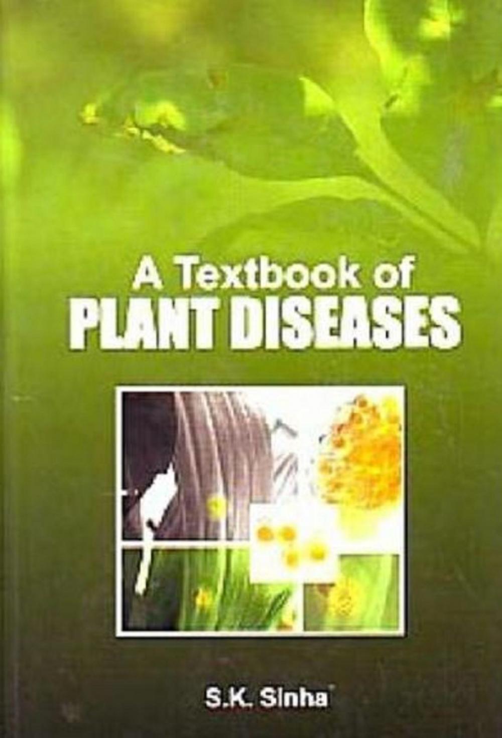 Big bigCover of A Textbook of Plant Diseases