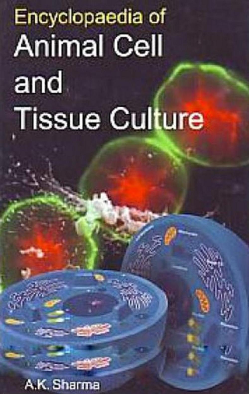 Big bigCover of Encyclopaedia Of Animal Cell And Tissue Culture