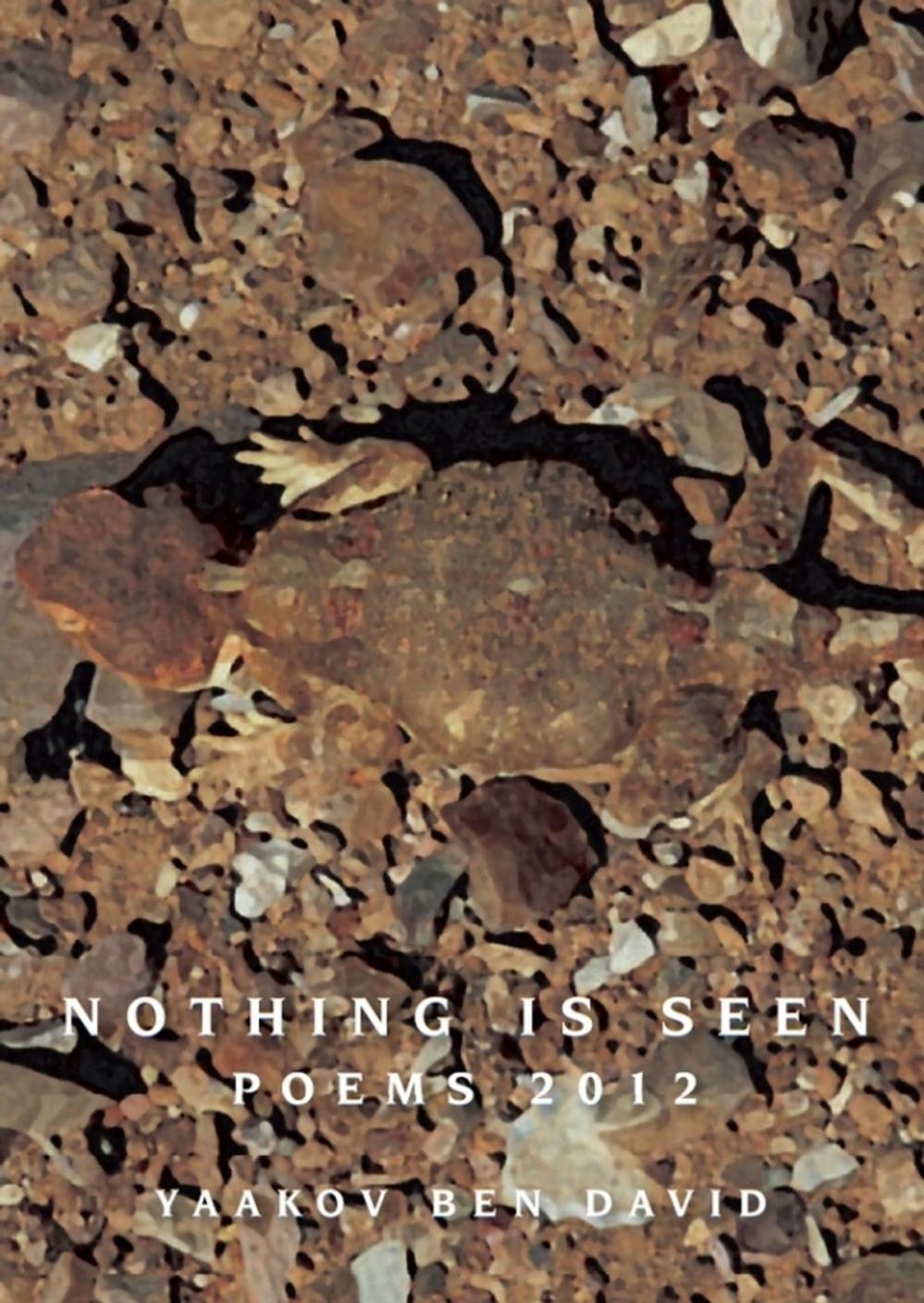 Big bigCover of Nothing Is Seen