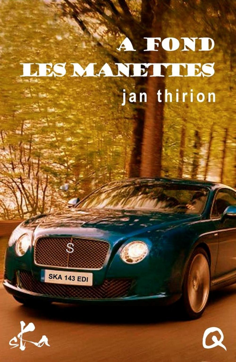 Big bigCover of A fond les manettes