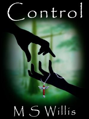 Cover of the book Control by Michelle Tschantre'