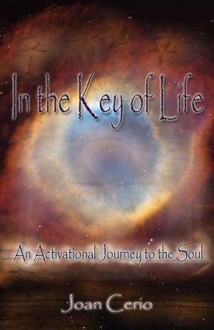 Cover of the book In the Key of Life by Chris Shea