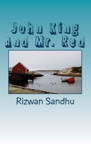 Cover of the book John King And Mr. Red by Rizwan Sandhu