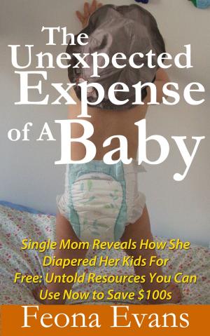 Cover of the book The Unexpected Expense of A Baby by Jennifer Nicole