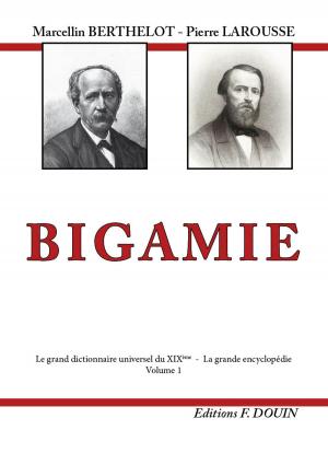 Book cover of BIGAMIE